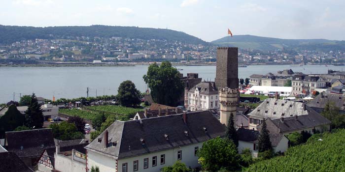 Rüdesheim, the Rhein river, and Bingen in the distance.